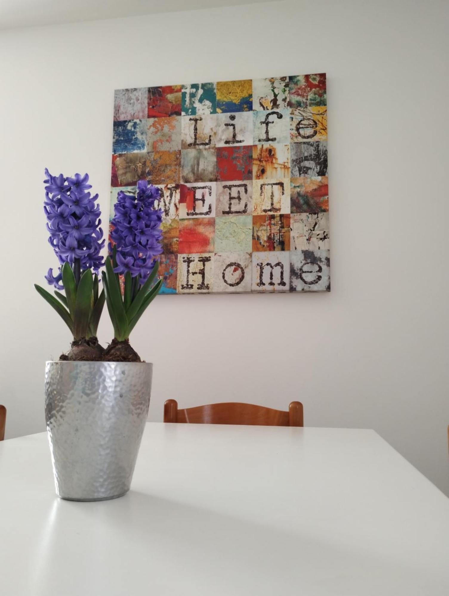 Ferienwohnung Nido Sul Garda Castelnuovo del Garda Exterior foto